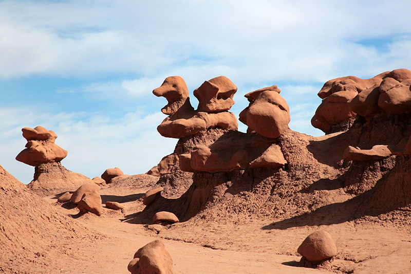 Bison : Antelope Island : Utah : Landscape Photos : Richard Moore : Photographer